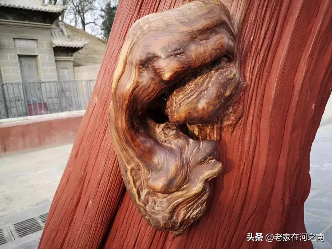 太昊陵庙会为什么这么火,太昊陵庙会单日客流量纪录是多少