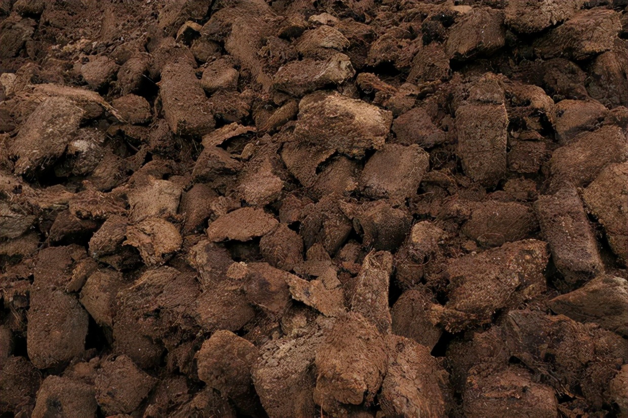 煤炭提降对煤炭价格的影响,煤炭价格上涨导致发电成本高