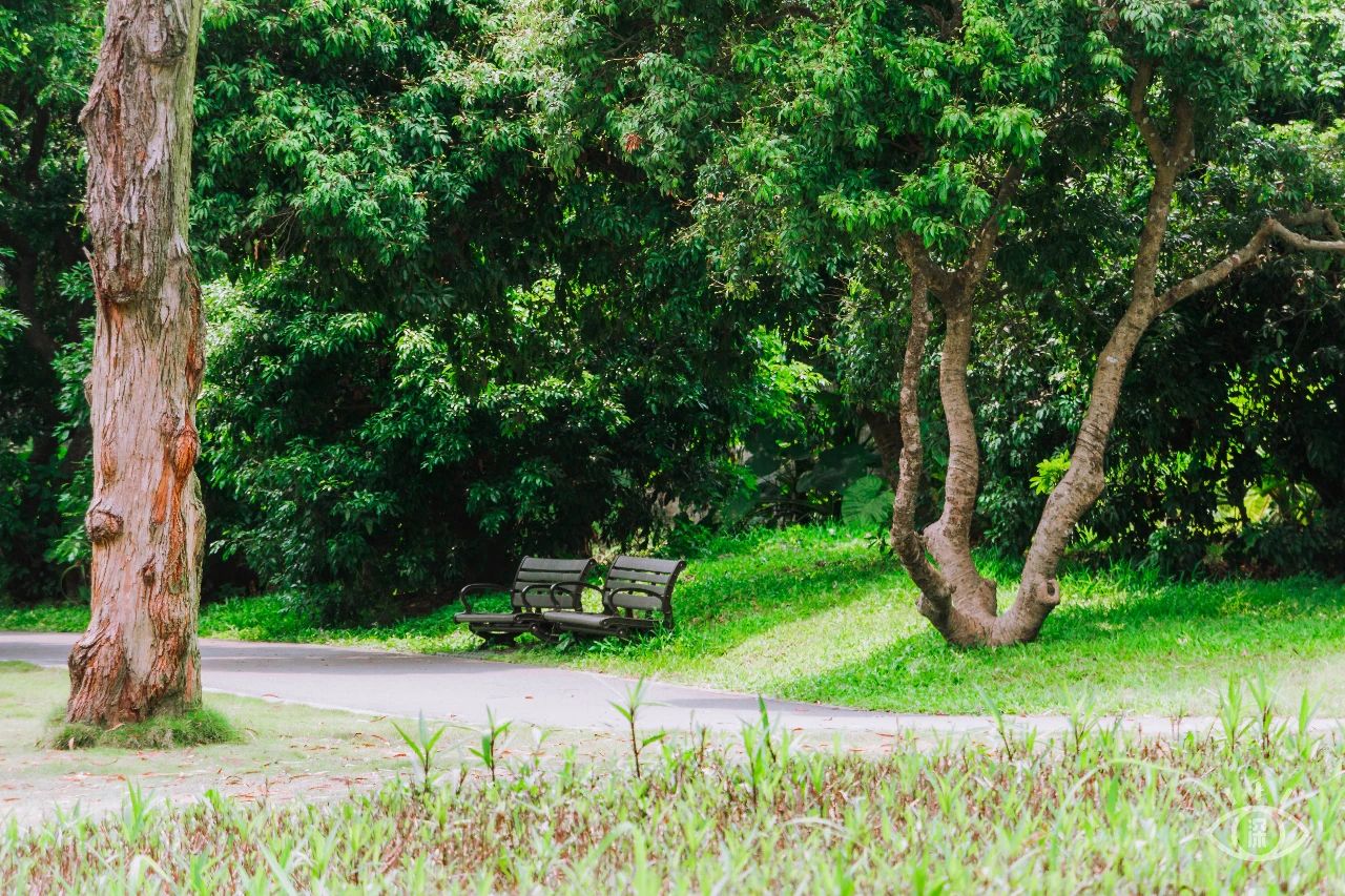 深圳地铁7号线有什么好玩的,深圳地铁十四号线游玩攻略