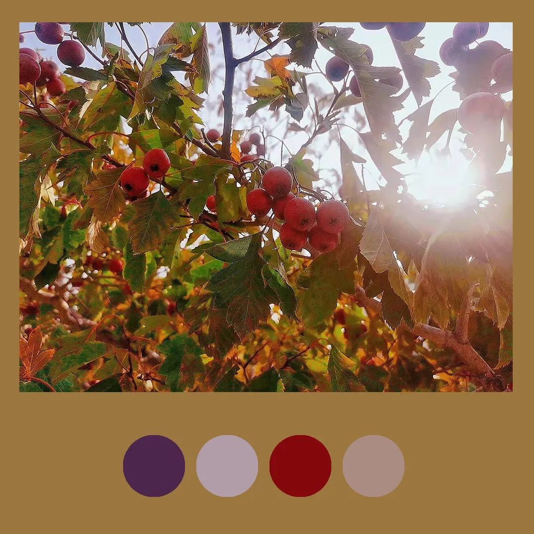 色彩里的构图,色彩中的光感