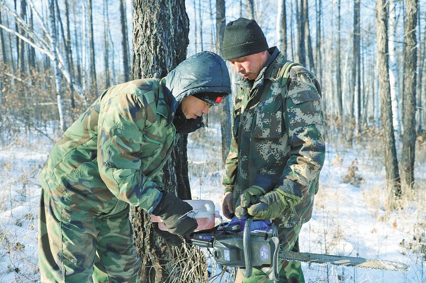 行走在冷冽的寒风中完整版,行走在冷冽的寒风中