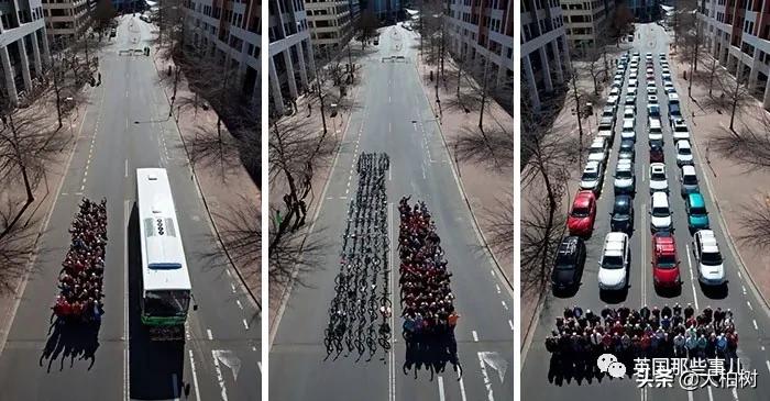 蓝鲸到底有多大,直观感受蓝鲸有多大