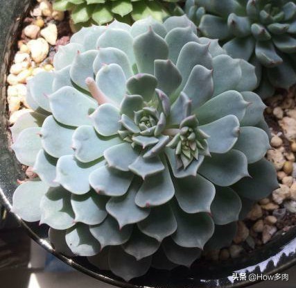 初夏已经到来,初夏已来临了