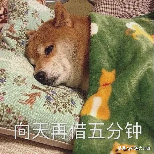 秋裤翻译成英文怎么说,秋裤英语怎么拼