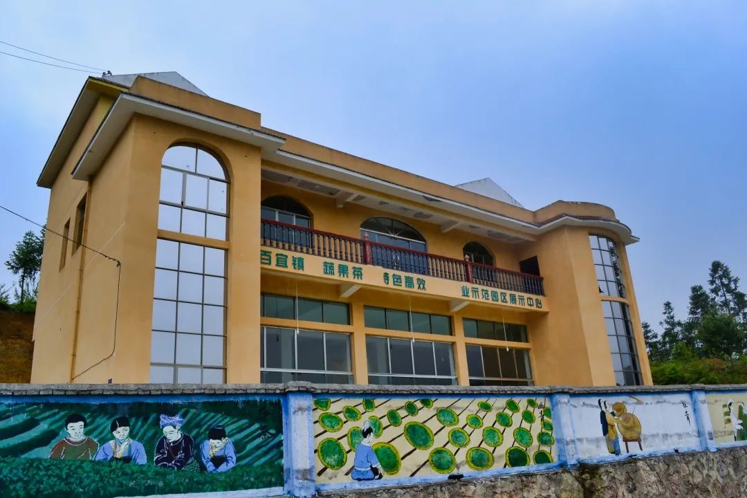 赏春图鉴丨赏花海、品清茶、尝美食...乌当百宜镇这条宝藏春游线路,就等你来打卡啦!