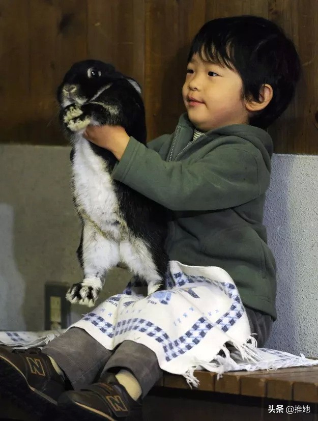 日本皇室面临子嗣断绝,日本皇室面临绝后