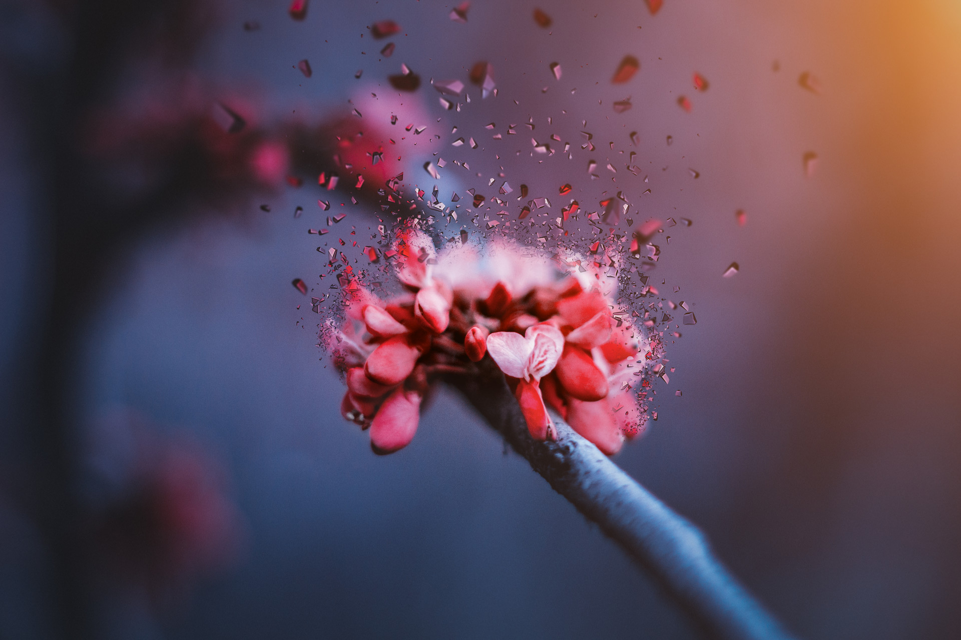 五月黄梅天三星白兰地,上联日月对星辰下联