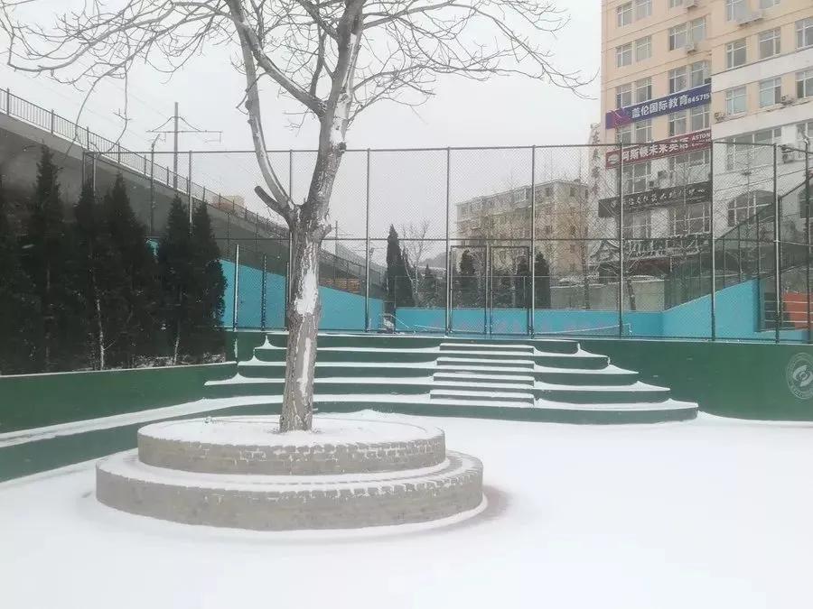 辽宁附属高级中学,辽宁师范大学附属中学2017