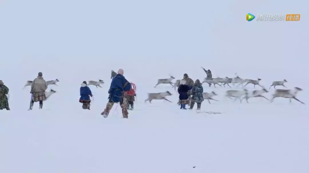 人在逆境要懂得坚持,面对逆境向阳而生