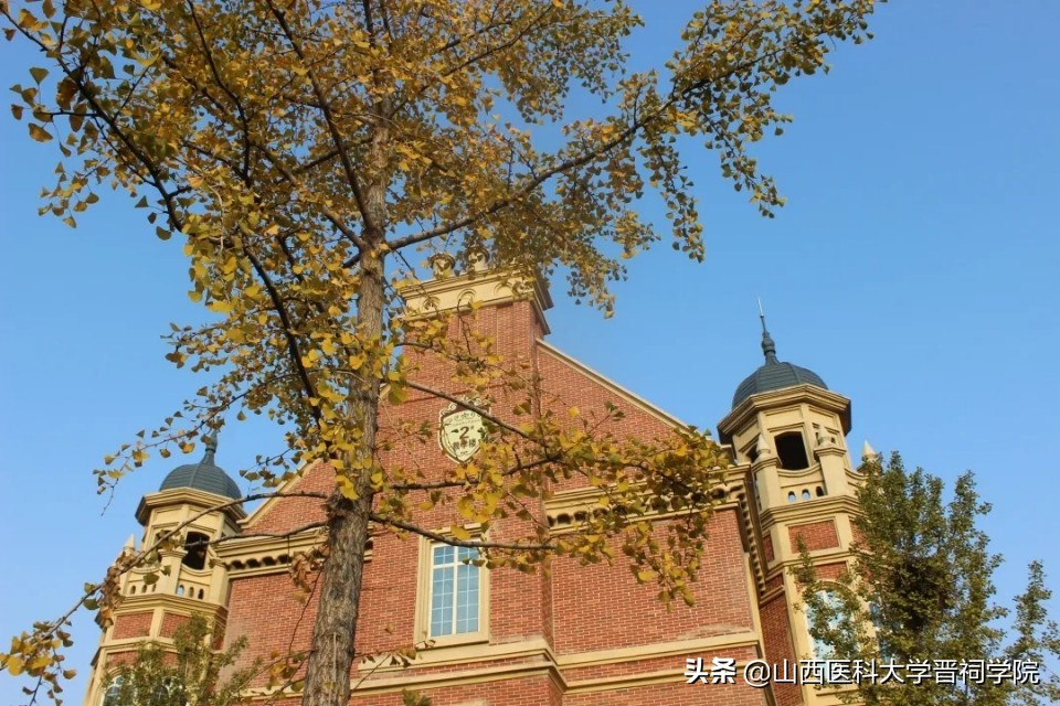 医学生土味情话攻略,医学生土味情话视频