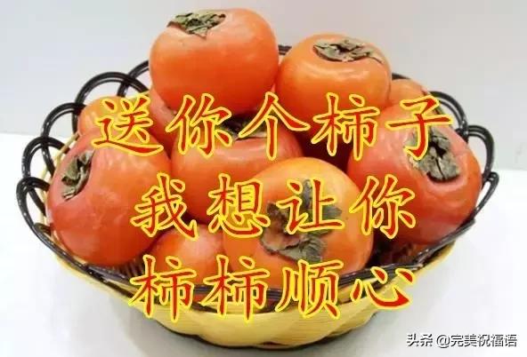 今日芒种愿所有付出都有收获,芒种种下祝福和希望