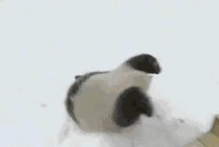 刀塔敏捷英雄排行,刀塔英雄技能全是非指定性