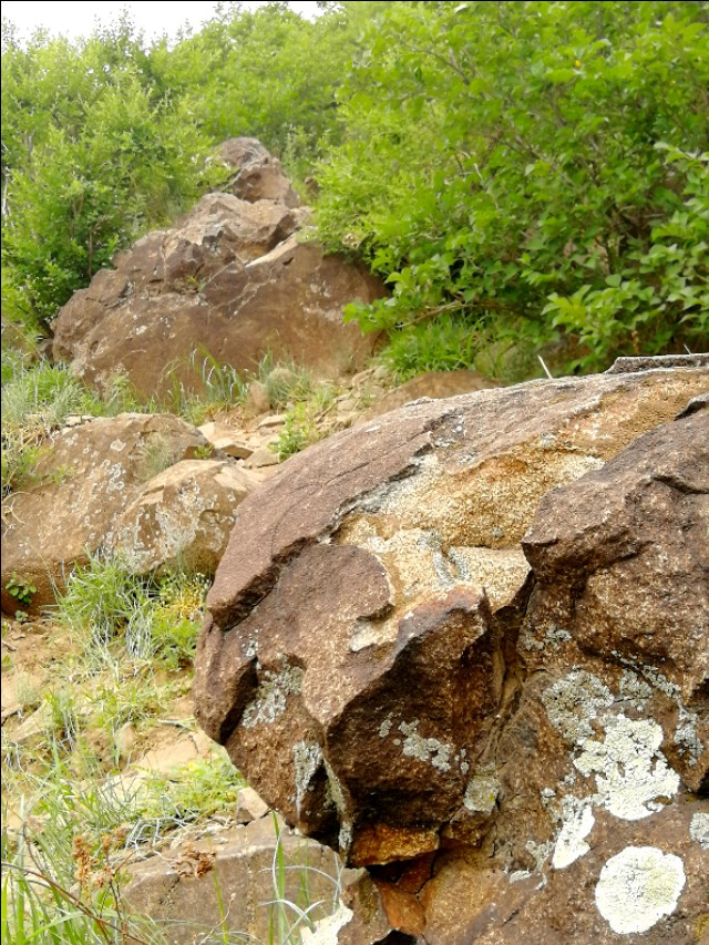 内蒙古通辽市扎鲁特旗大草原,通辽市阿古拉湿地公园