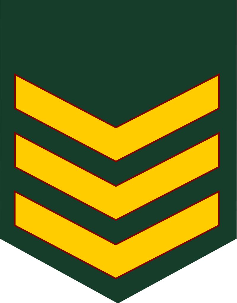 各国军衔标识韩国,马来西亚军衔等级对照表