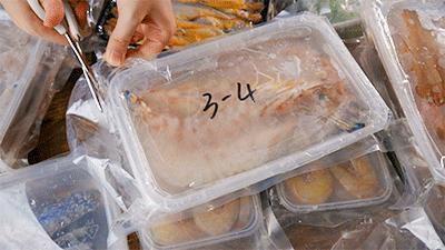 南澳岛渔民捕捞视频,南澳岛渔船捕捞