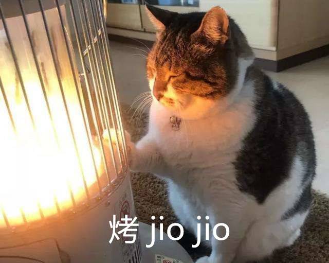 瑞克和莫蒂蚁人,瑞克和莫蒂主创团队游戏