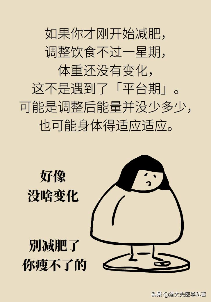 减肥减到一定程度减不下来怎么吃,减肥到一定程度减不下去怎么办