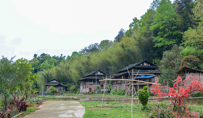 疫情对湖南这里居然丝毫没有影响！0病发，还超级适合徒步旅行！