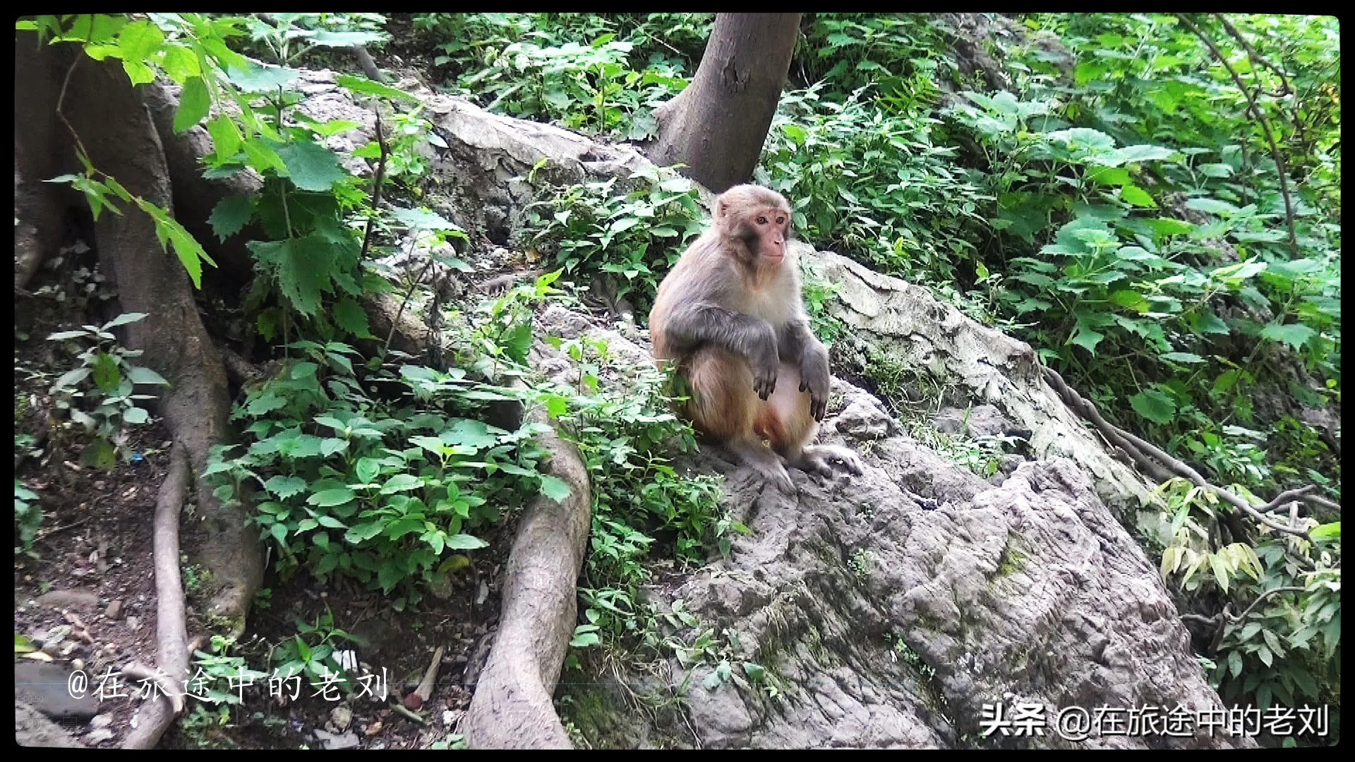 贵阳周边一日游免费景点大全,贵阳市区三日游最佳攻略