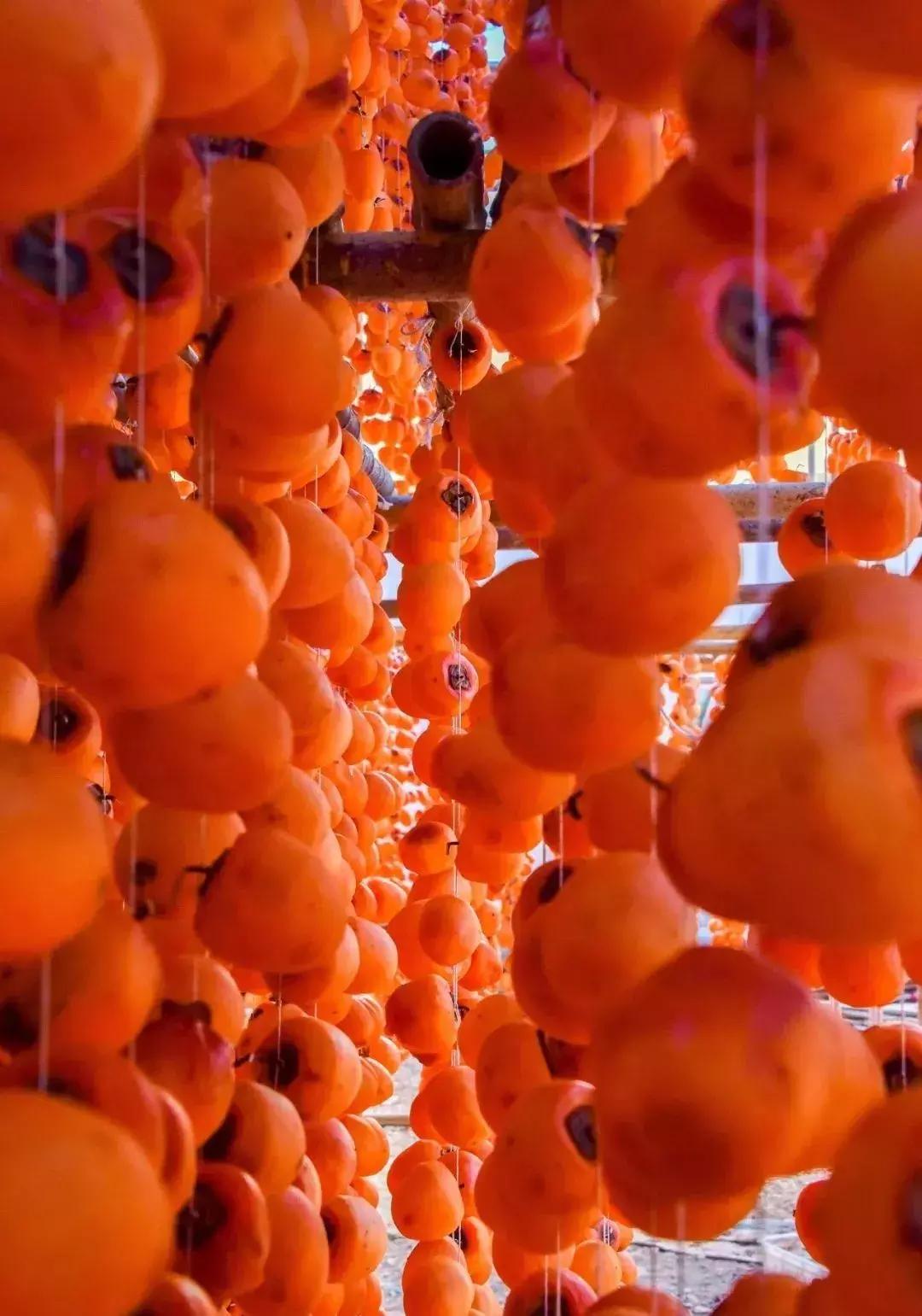 金秋采摘正当时!山东这十种田间美味错过再等一年!