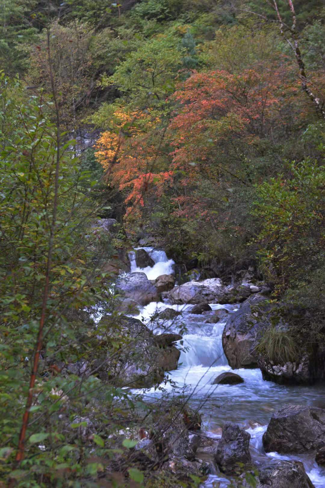 如何做好旅行社计调,旅行社计调如何提高效率