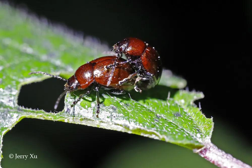 情人节,就该和爱的人*爱做**做的事