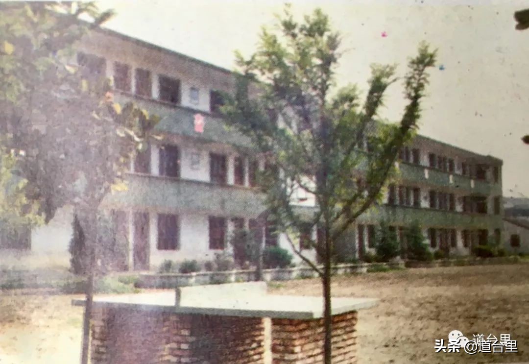 重回20年前的母校记忆,椒江学校老照片