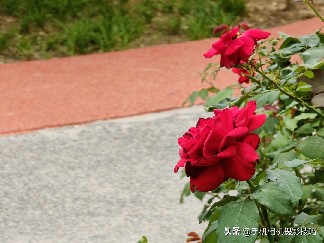 为什么大部分手机不使用长焦镜头,手机的长焦镜头变焦时会动吗