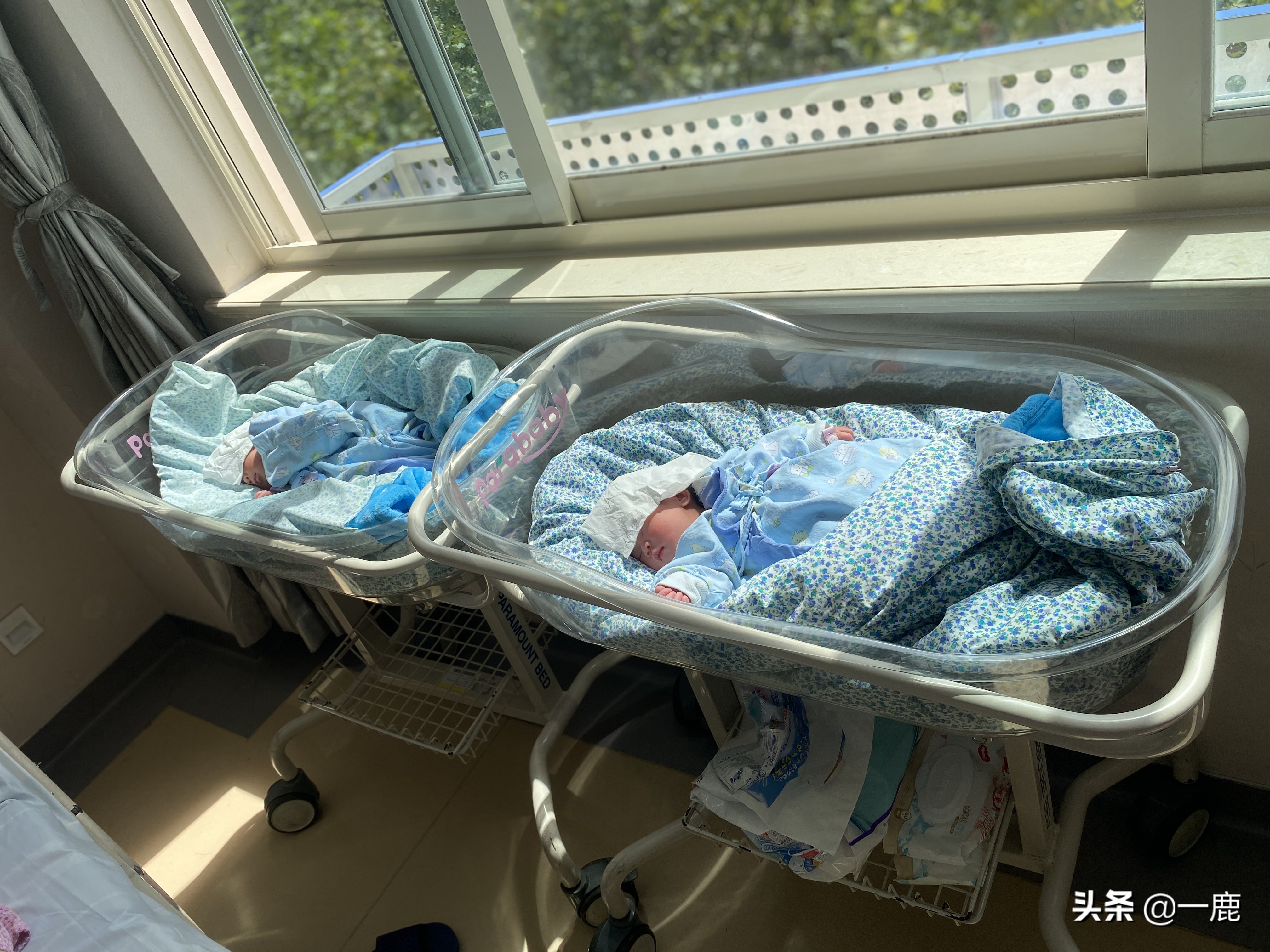 上海市长宁区妇幼保健院预约挂号,上海妇幼保健院和人民医院哪个好