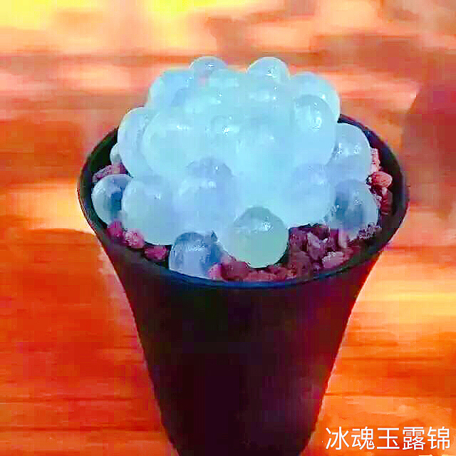 冰灯玉露多肉,冰灯玉露多肉植物