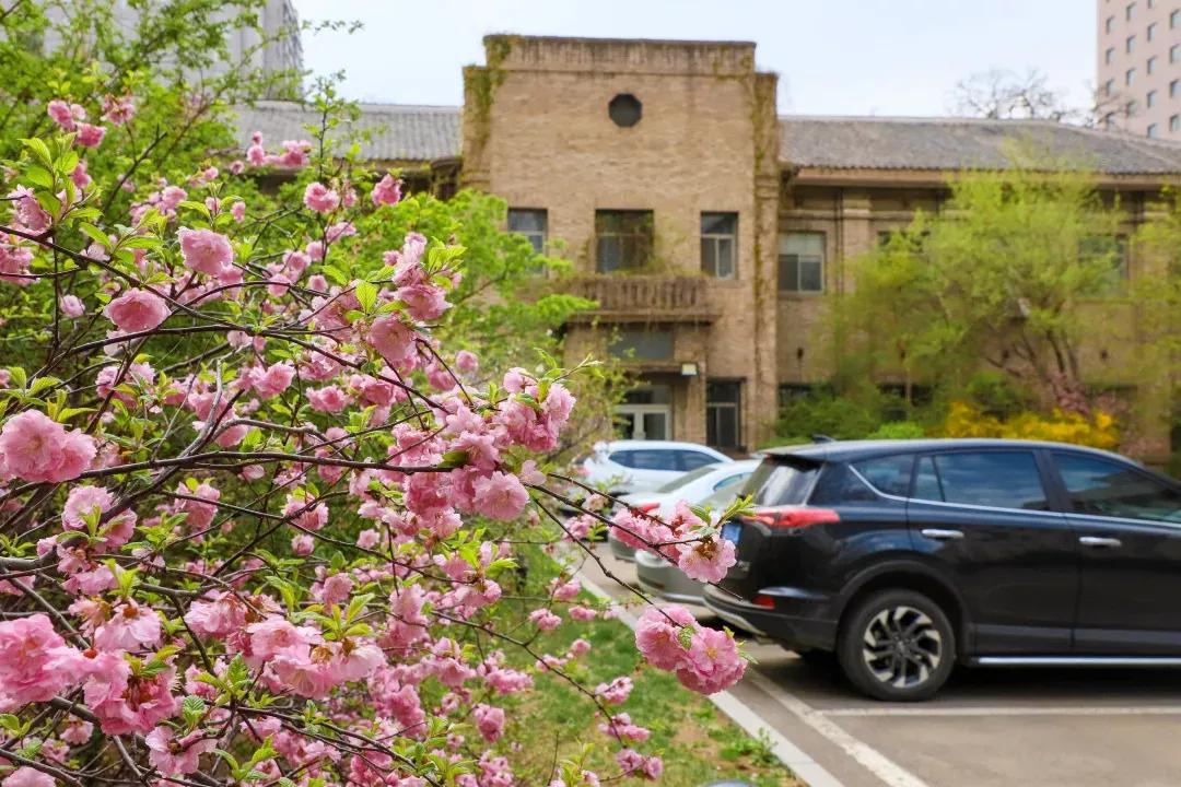 辽宁大学和鲁迅美术学院,辽宁省鲁迅美术学院是985吗