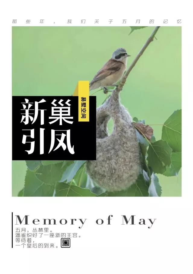 家装借势营销走心文案,家装节活动营销文案