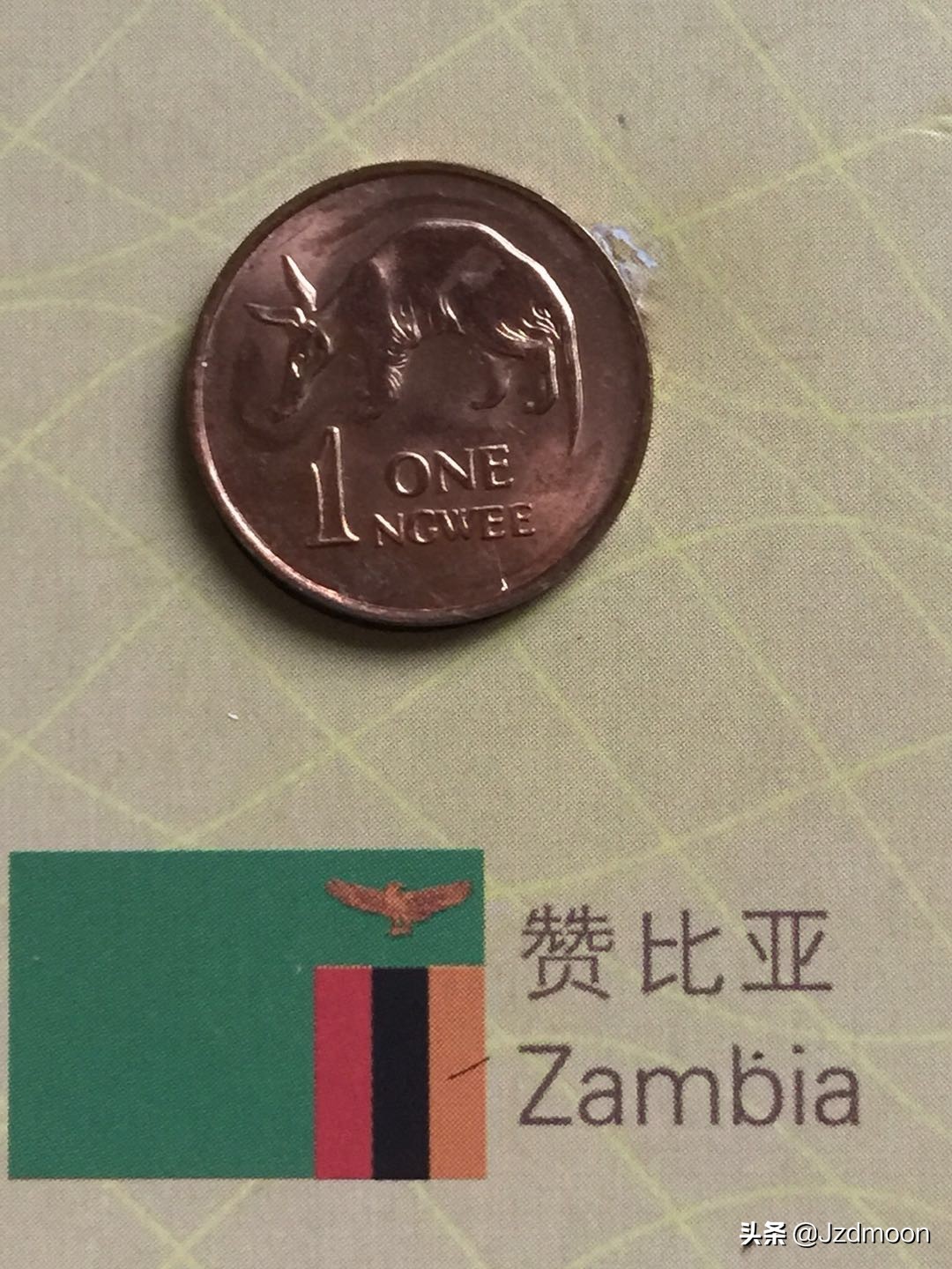 赞比亚货币50恩韦相当于多少钱,赞比亚硬币1972是什么样子