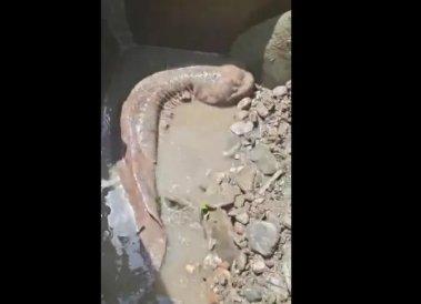 安康今日头条招聘,安康鼓楼社区招聘会