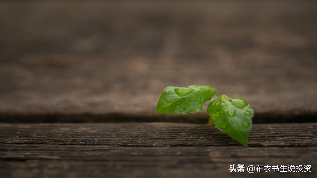 一个定投怎么看出盈利多少,定投收益简单易懂