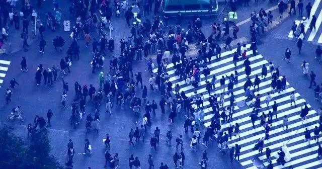 中国人在日本创业成功,日本人在中国创业成功的秘诀