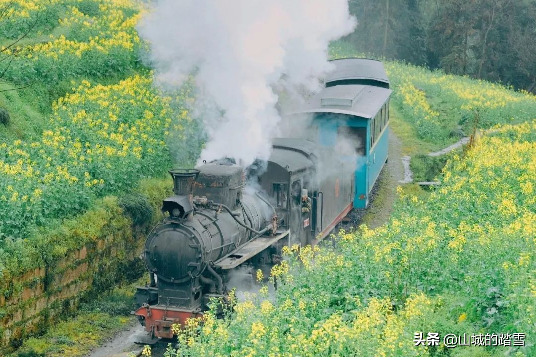 乐山嘉阳小火车值得去吗,嘉阳小火车与乐山大佛相隔多远