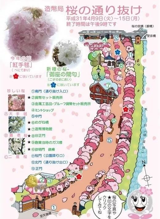 四月物语|桃杏梨大美中国、世界唯一！江浙沪紫藤芝樱绽放！