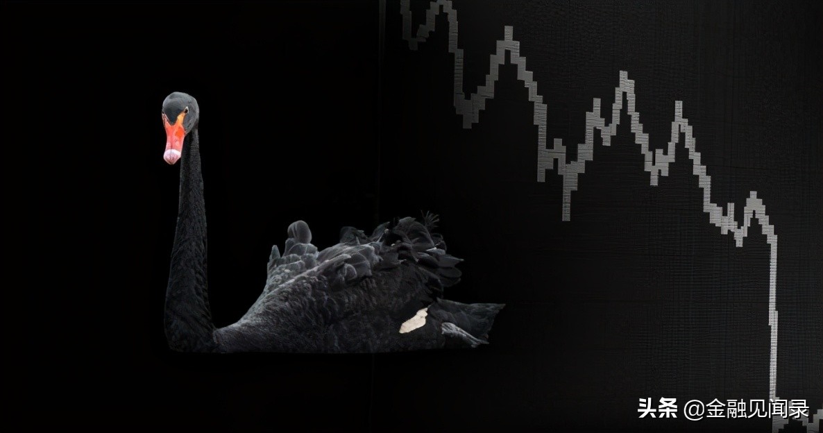 黑天鹅2019年,2020黑天鹅年