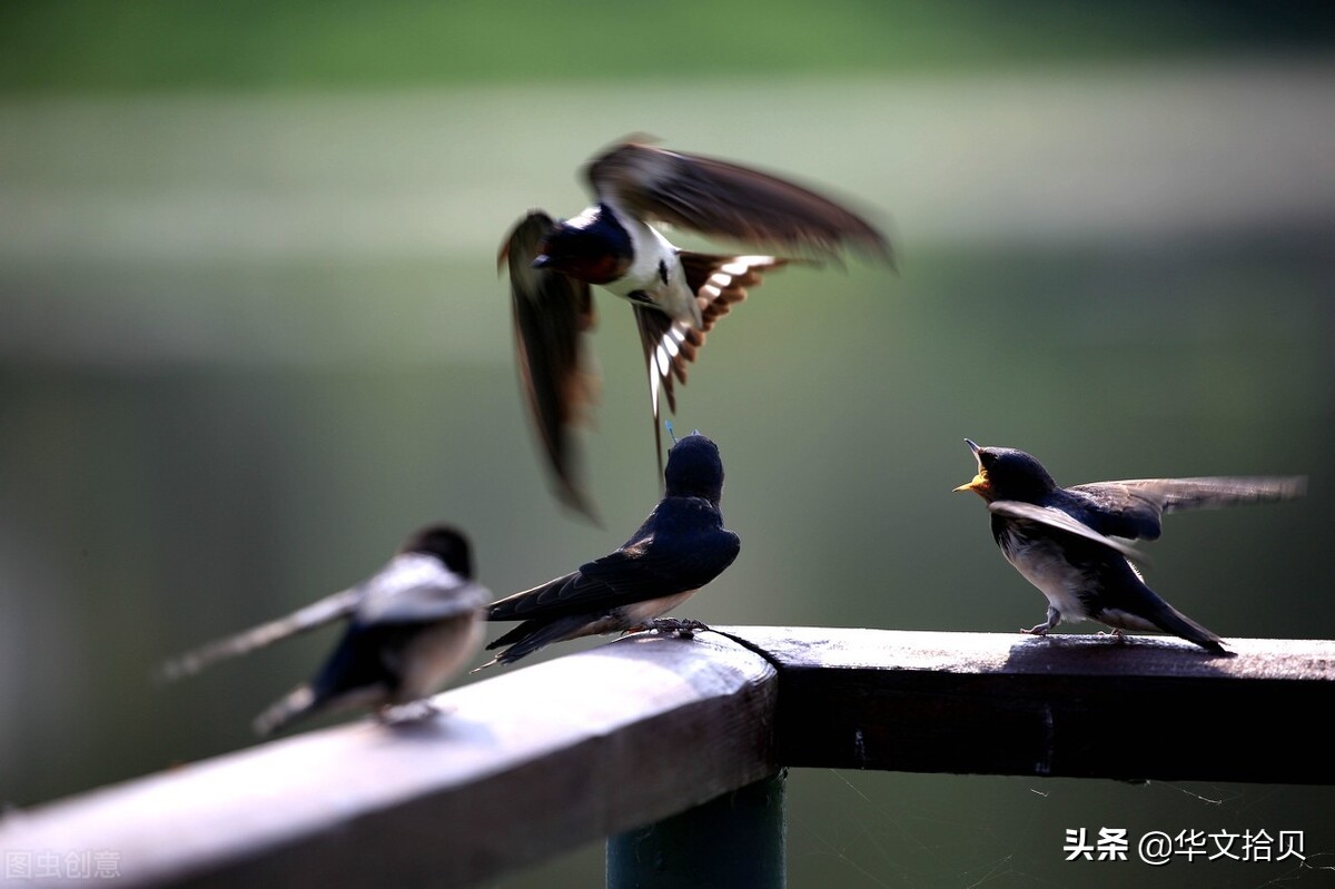 楣板煄瀹舵斂鏈嶅姟,楣板煄鏈堝珎鍩硅