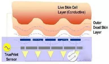 橘子皮怎么解锁手机,橘子皮解锁手机教学