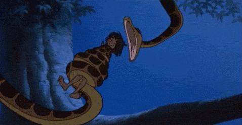 人类如果被蟒蛇活着吞进肚子里，用一把*首匕**能不能自救？