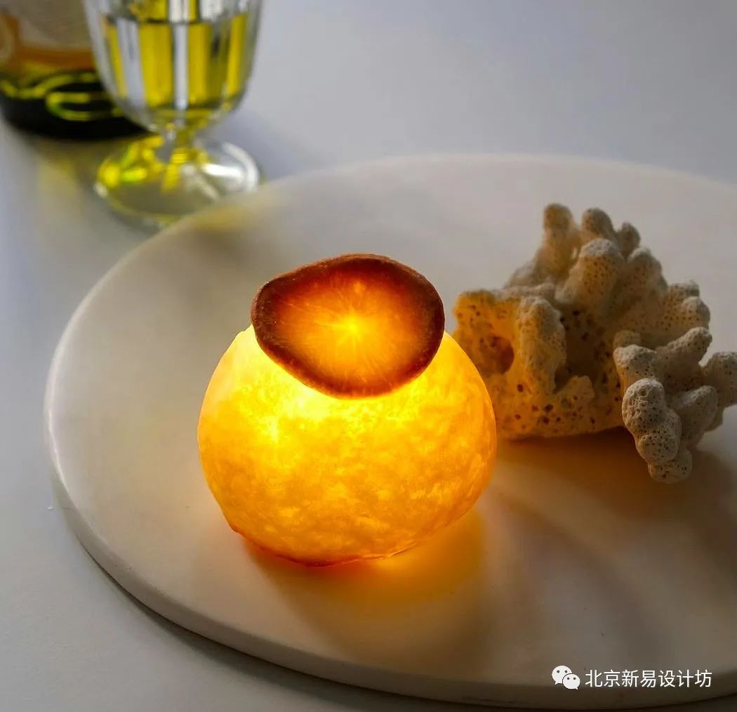 趣味家居设计,趣味家居用品