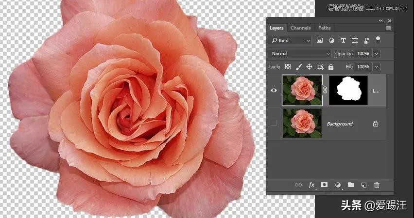 ps教程素材图片,ps教学制作漂亮的鲜花艺术字