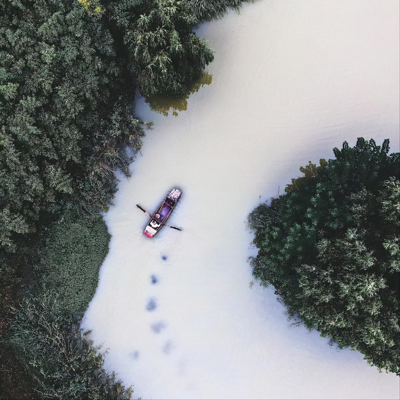我为什么推荐你去桐庐,我为什么建议你留在一线城市