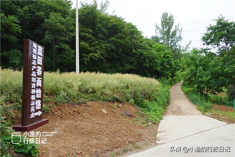 藏在秦岭深处的世外秘境,藏在西安秦岭里的桃源秘境