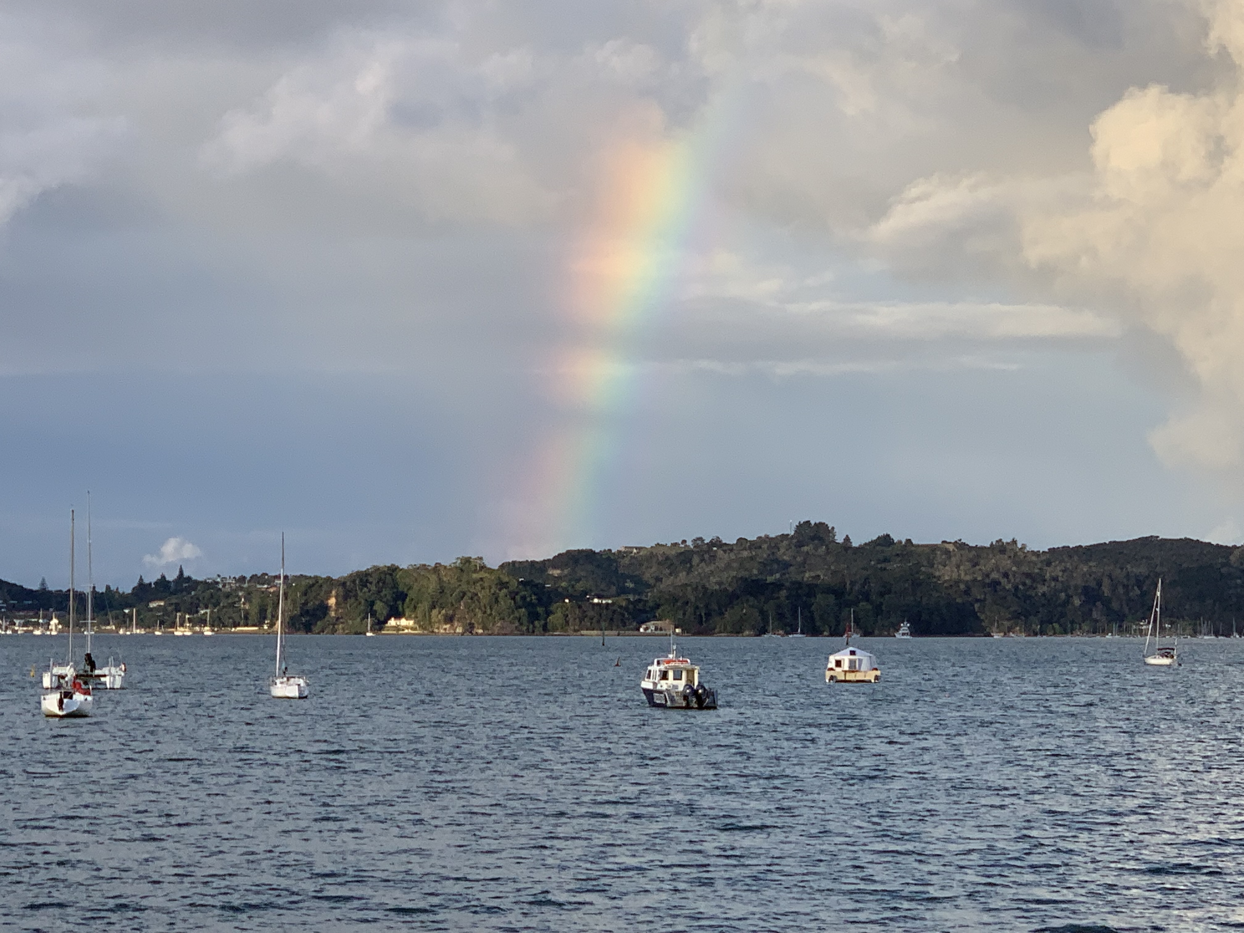 生活在新西兰有多幸福,生活在童话里的国家