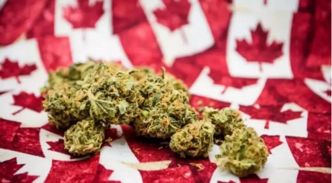 纽约上空蓝光,纽约上空的神秘蓝光