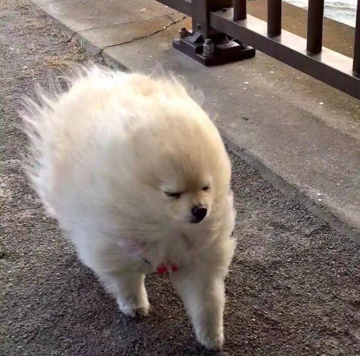 12小时暖脚保暖鞋垫,冬季暖脚神器自发热鞋垫对比