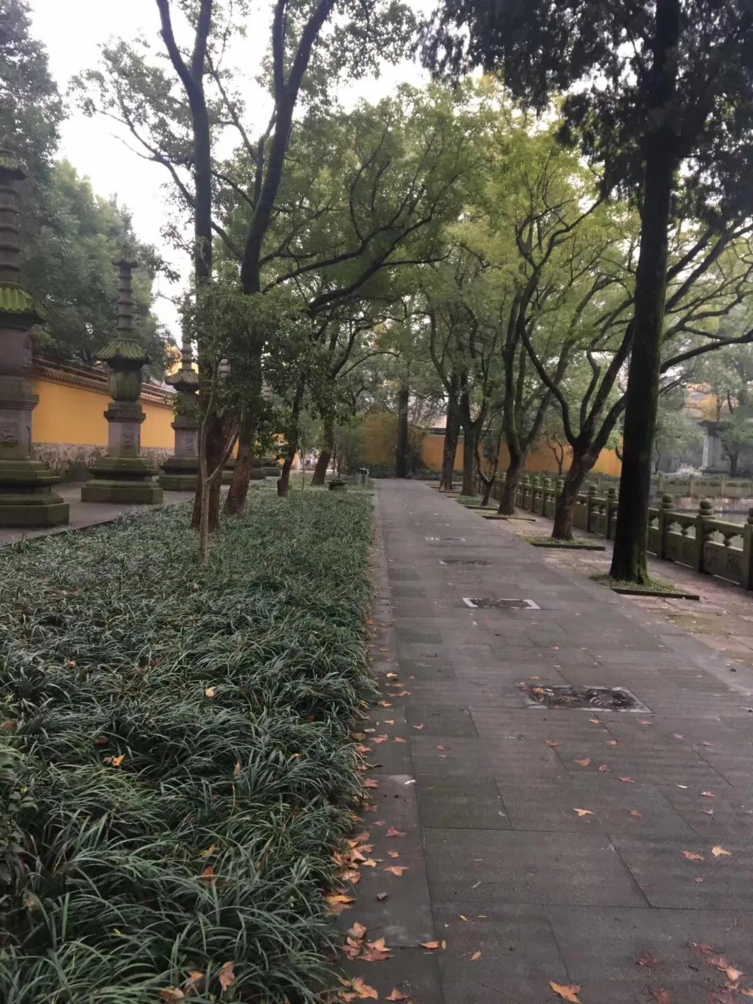 印度阿育王寺简介,阿育王寺祈福